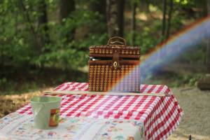 Urobte si piknik v prrode alebo len tak doma - aj s riadom pre deti