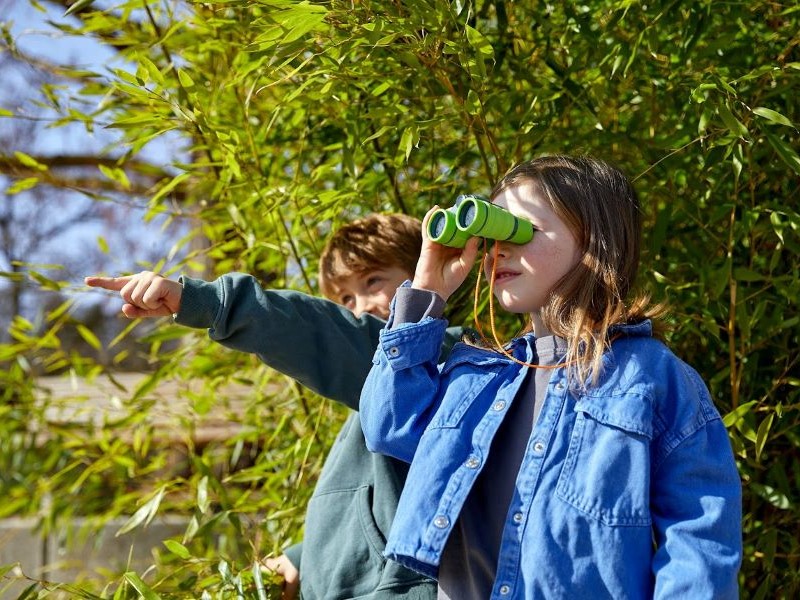 Detsk alekohad s puzdrom a skobou Terra Kids Haba od 3 rokov