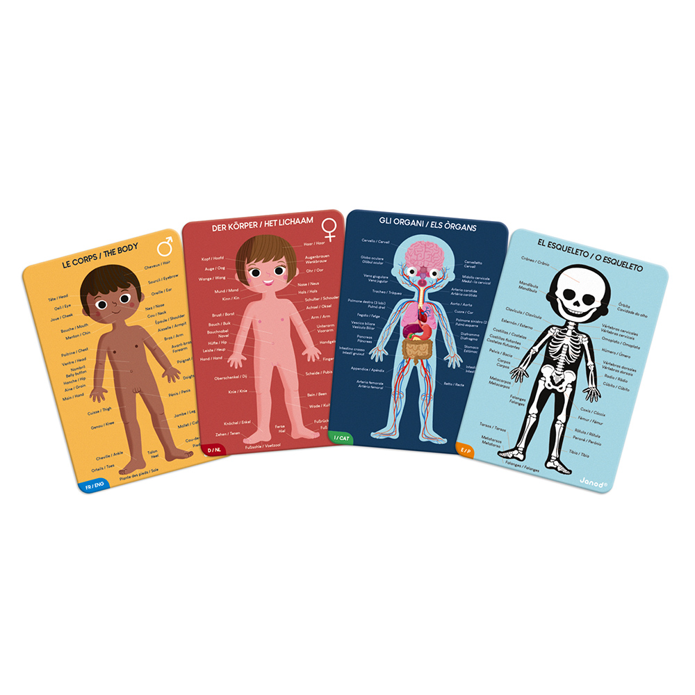 Vzdelávacie puzzle pre deti Ľudské telo Janod s kartami 50-75-100 ks